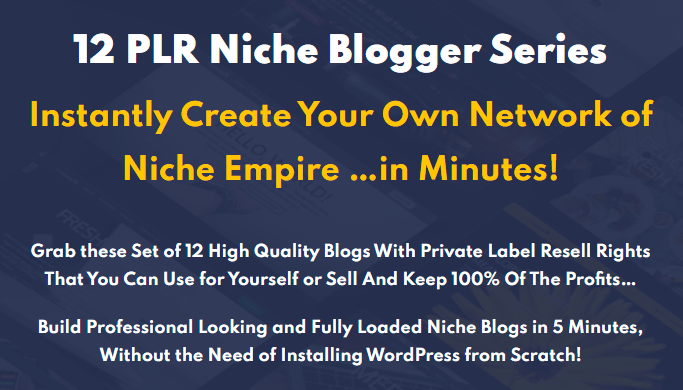 You are currently viewing 12 PLR Niche Blogs Bundle Free Download