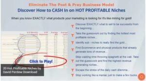 Read more about the article 20 Hot Profitable Niches by David Perdew