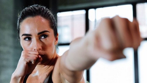 You are currently viewing [GET] Alomoves – The Knockout Free Download