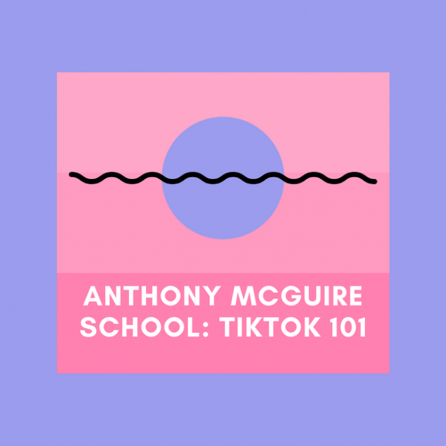 You are currently viewing Anthony McGuire – TikTok Marketing & Advertising 101 Download
