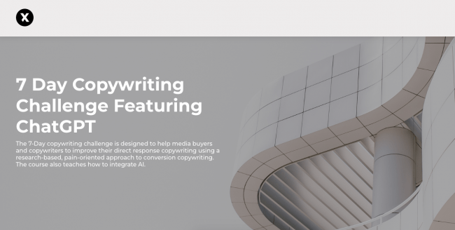 You are currently viewing Ashton Shanks – 7 Day Copywriting Challenge Featuring ChatGPT Download