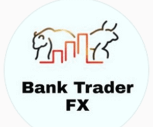 Read more about the article Bank TraderFX SA Course Free Download