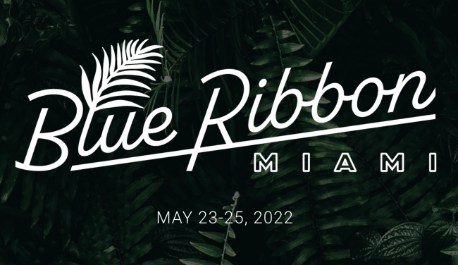 You are currently viewing Blue Ribbon Mastermind Miami May 2022 Event Replays Download