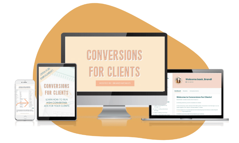 You are currently viewing Brandi Mowles – Conversion For Clients Download