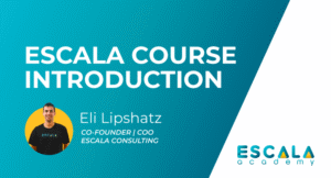 Read more about the article Eli Lipshatz – Escala Academy-Amazon Business Download