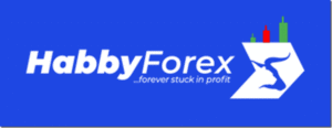 Read more about the article Habby Forex Trading Academy – A Complete Beginner to Advanced Trading Mentorship Program Download