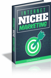 Read more about the article Internet Niche Marketing PLR Free Download