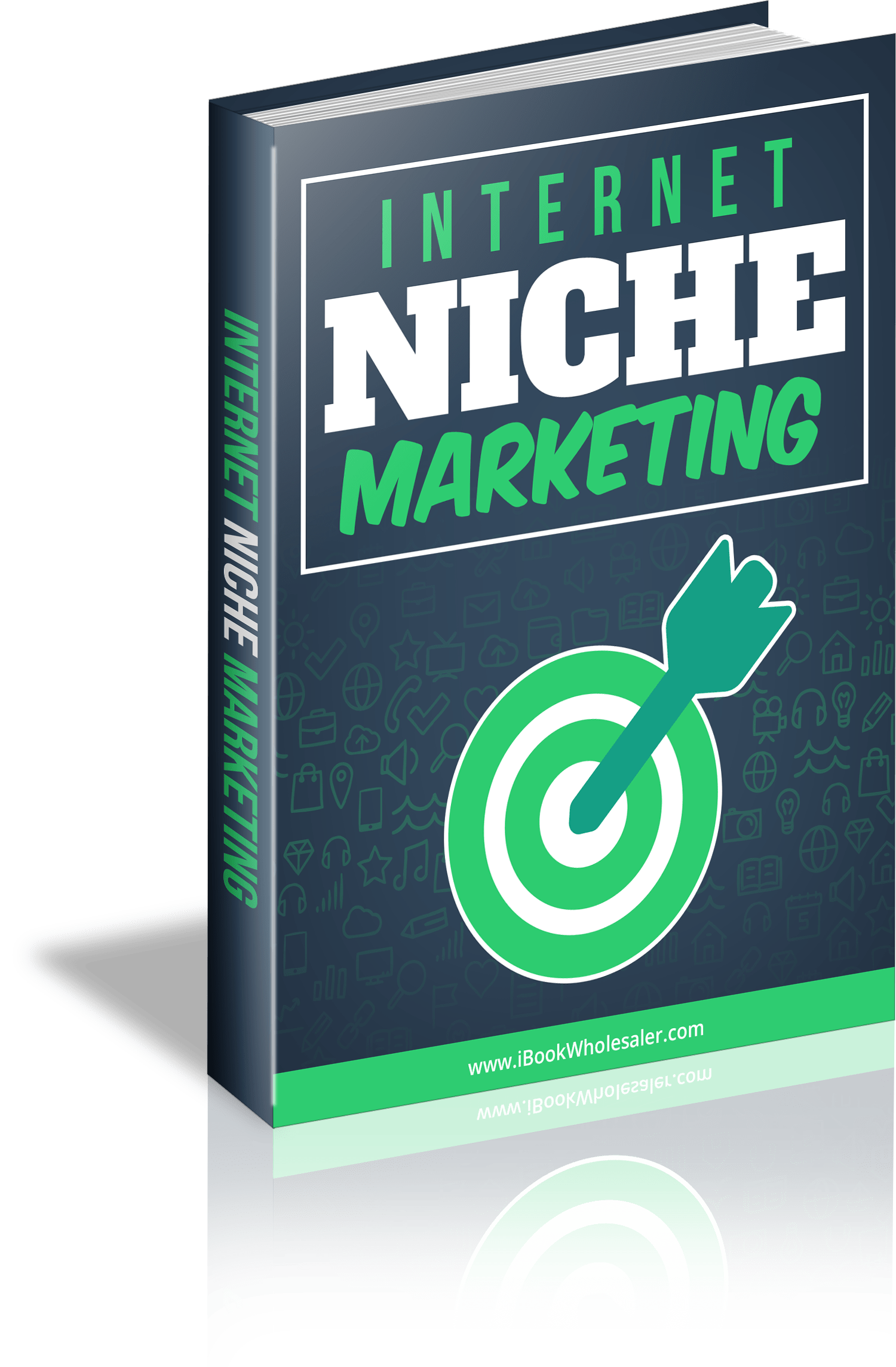 You are currently viewing Internet Niche Marketing PLR Free Download