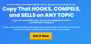 Read more about the article Kevin Meng – Web Copy Masterclass Download