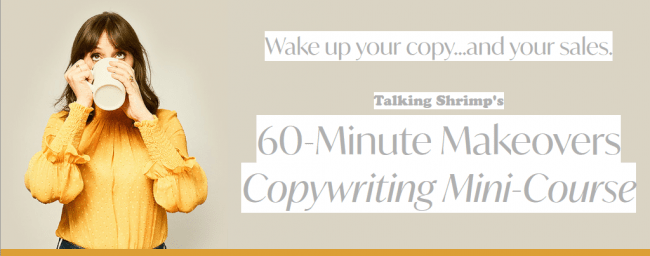 You are currently viewing [SUPER HOT SHARE] Laura Belgray – 60Minute Makeovers Copywriting Mini Course Download