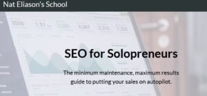 Read more about the article Nat Eliason – SEO For Solopreneurs Download