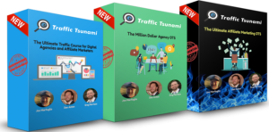 Read more about the article OMG Machines – Definitive Traffic Tsunami – DC2021 Update 2 Download