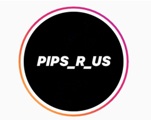 You are currently viewing Pips R Us Course Free Download