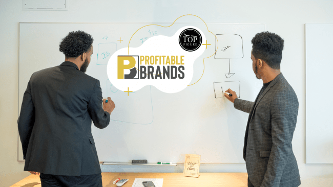 You are currently viewing Profitable Brands – Top Figure Download