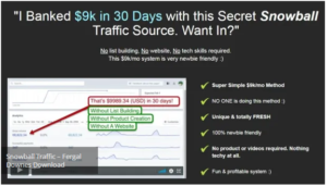 Read more about the article Snowball Traffic – Fergal Downes