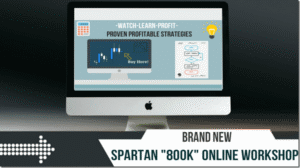 Read more about the article SpartanTraderFX – 800k Forex Workshop Download