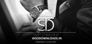 Read more about the article [SUPER HOT SHARE] SwitzTrader – Complete Video Course Download