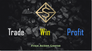 Read more about the article TWP Price Action Course Download