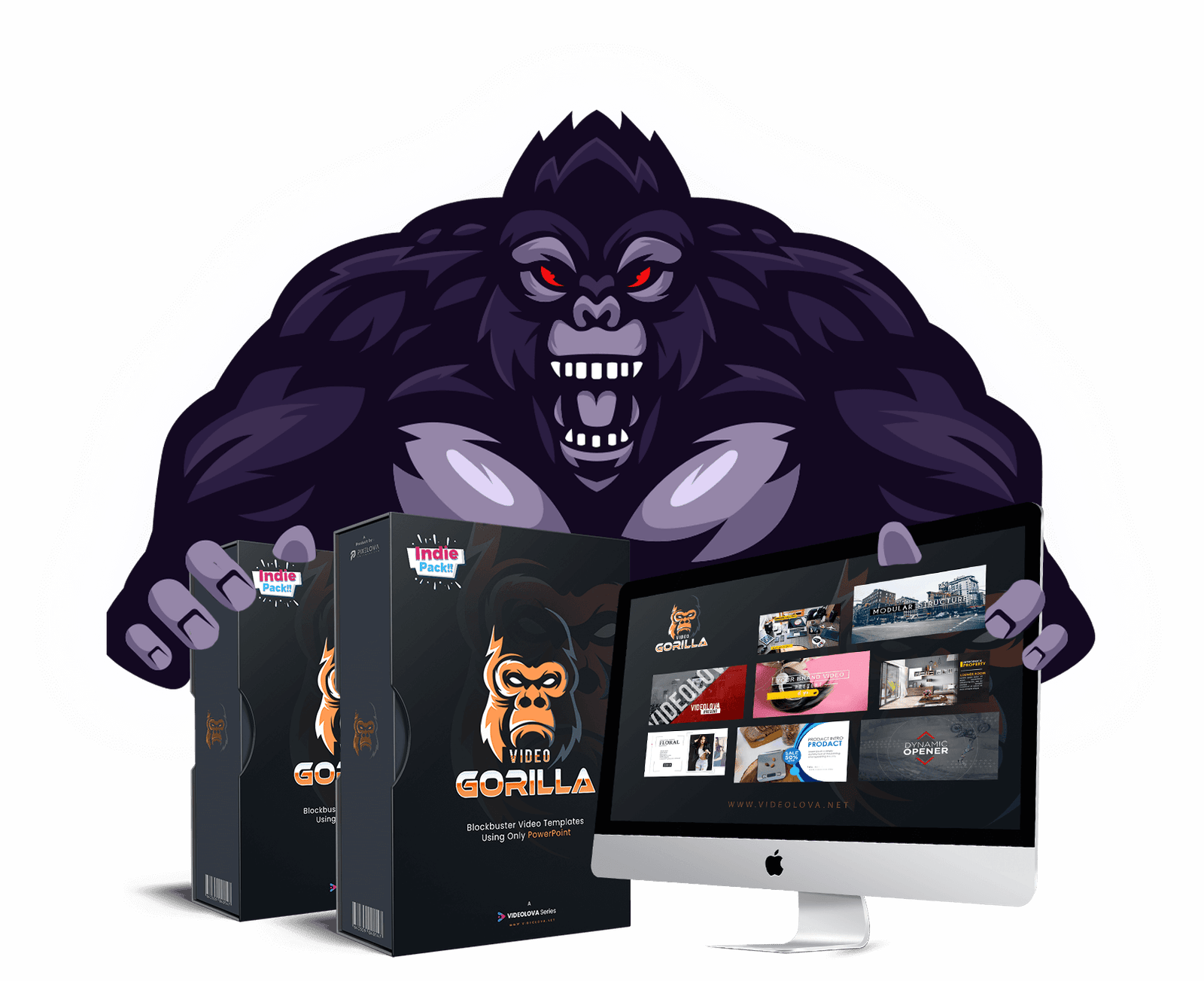 You are currently viewing VIDEO GORILLA + OTO – Dynamic & Multipurpose Video Marketing Kit Free Download
