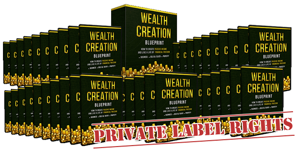 You are currently viewing [GET] Wealth Creation Blueprint PLR – PLRxtreme Free Download
