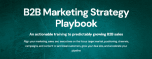 Read more about the article Zinkevich & Blagojevic – B2B Marketing Strategy Playbook Download