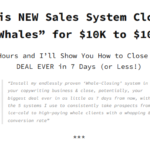 Copyskills (Whale Bait) by Nabeel Azeez – $100k projects with Little More