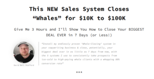 Read more about the article Copyskills (Whale Bait) by Nabeel Azeez – $100k projects with Little More
