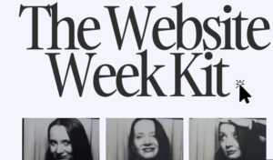 Read more about the article Sarah Kleist – The Website Week Kit Download