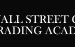 Wall Street Global Trading Academy Download